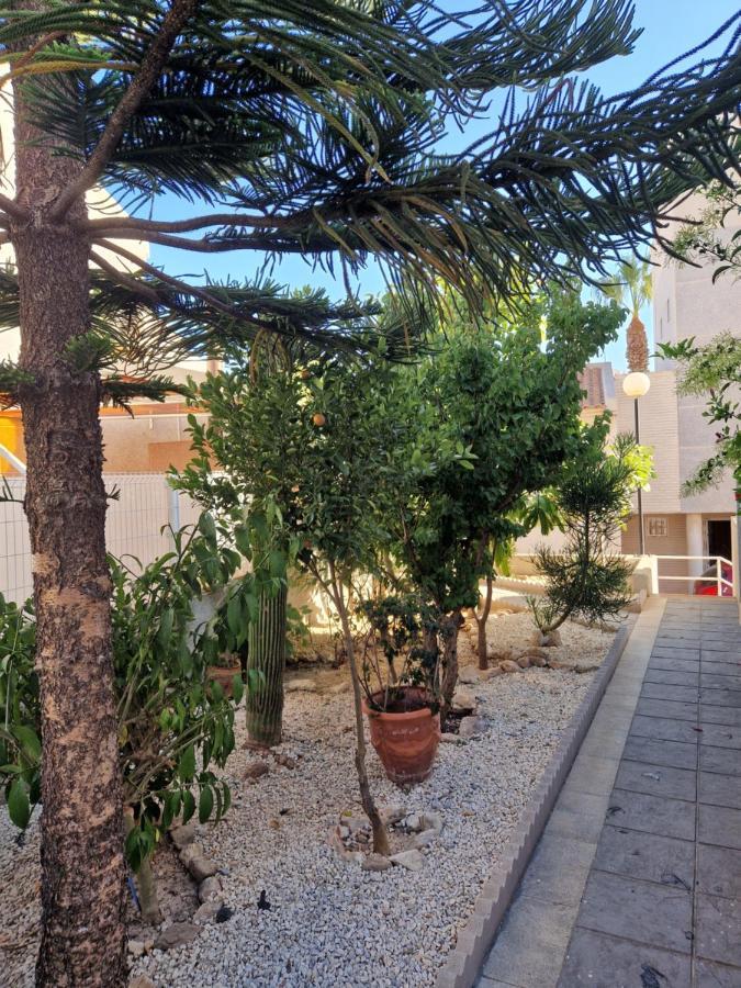 Magnifico Chalet Adosado En Torrevieja, Alicante. Eksteriør billede